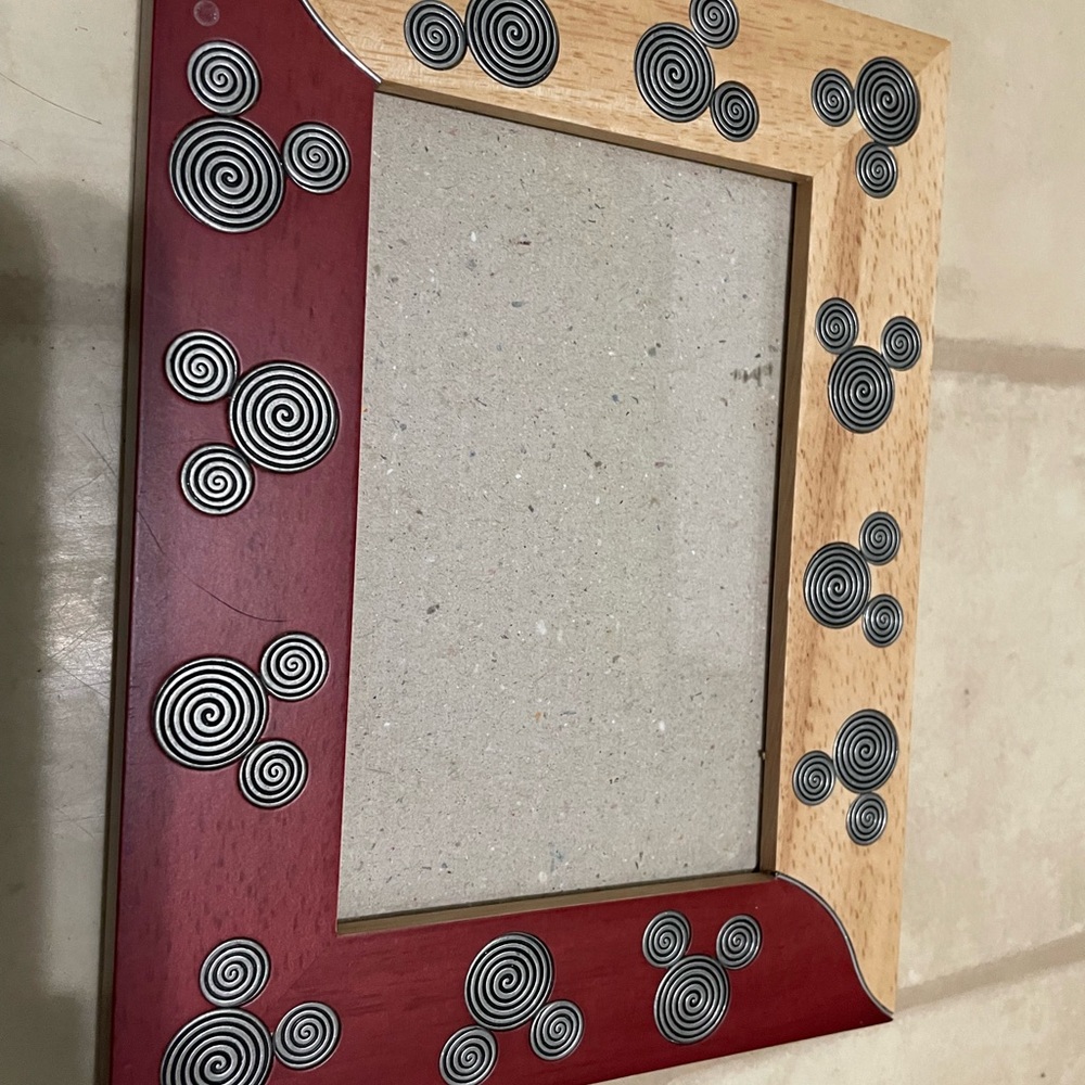 Brand new Disney Parks frame